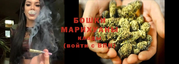 тгк Лагань