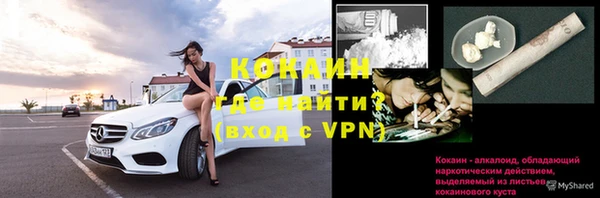 ECSTASY Липки