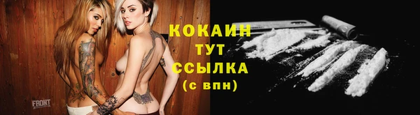 тгк Лагань