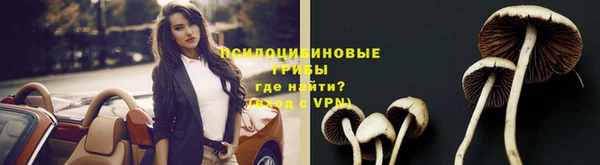 меф Михайловск