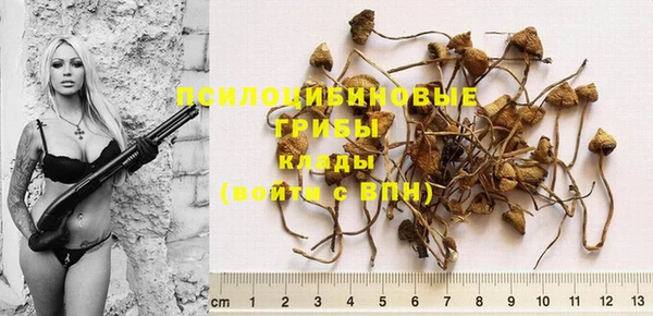 крисы Михайловка