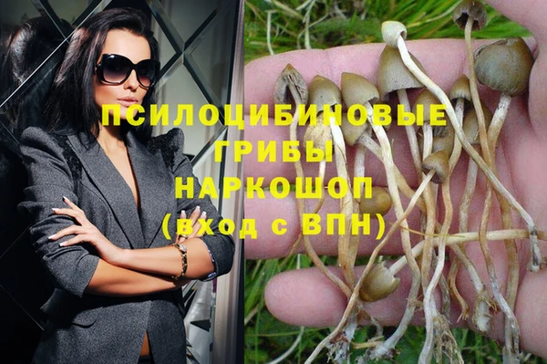 крисы Михайловка
