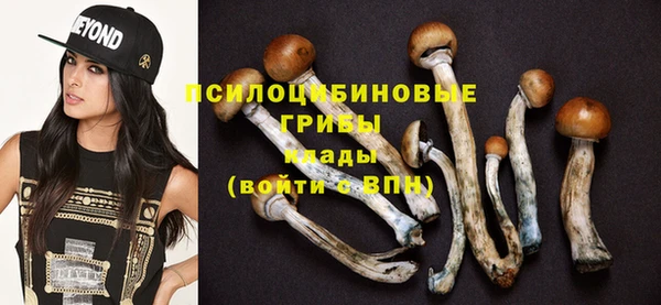 тгк Лагань