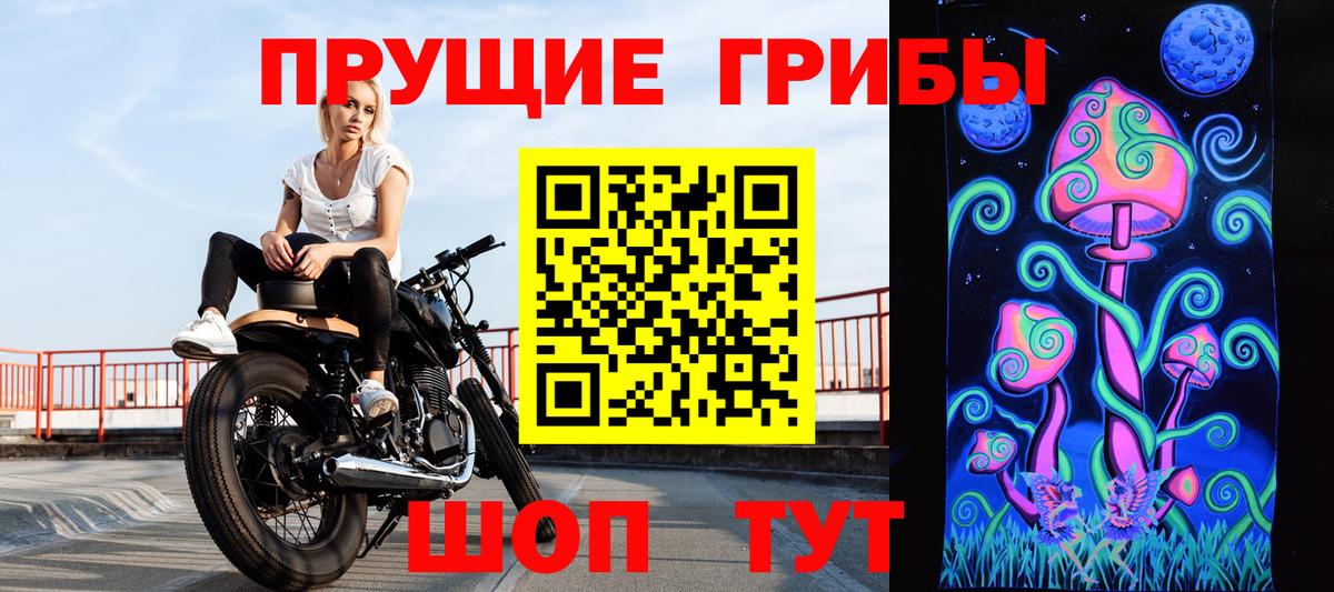 как найти закладки  Елец  Псилоцибиновые грибы MAGIC MUSHROOMS 