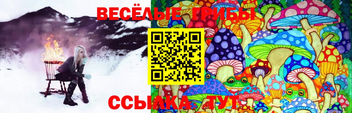 Галлюциногенные грибы прущие грибы Елец