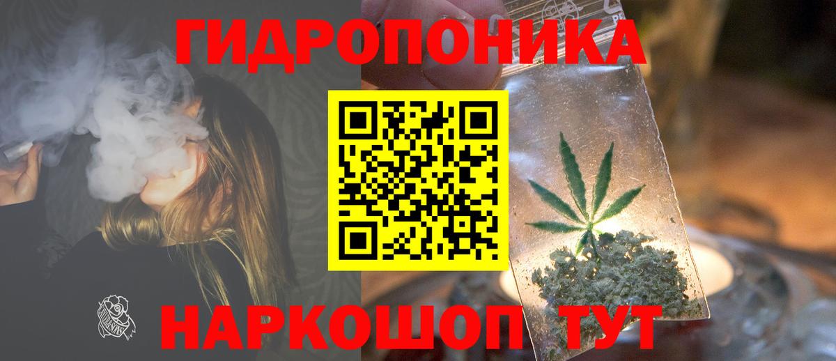 Марихуана сатива Елец